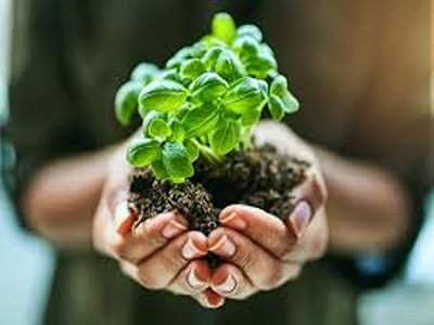 تصویر 3 از فروش کود بیولوژیک بایوفارم + قیمت خرید به صرفه